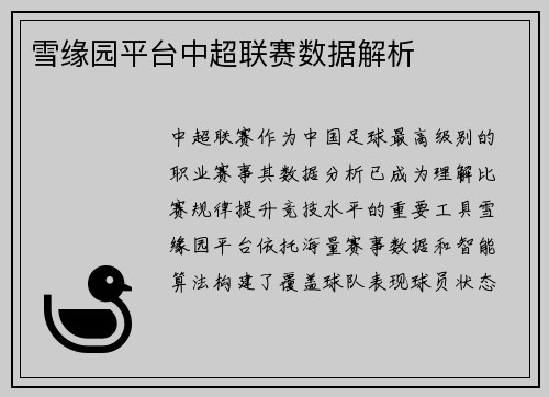 雪缘园平台中超联赛数据解析